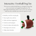 Interactive  Football Dog Toy