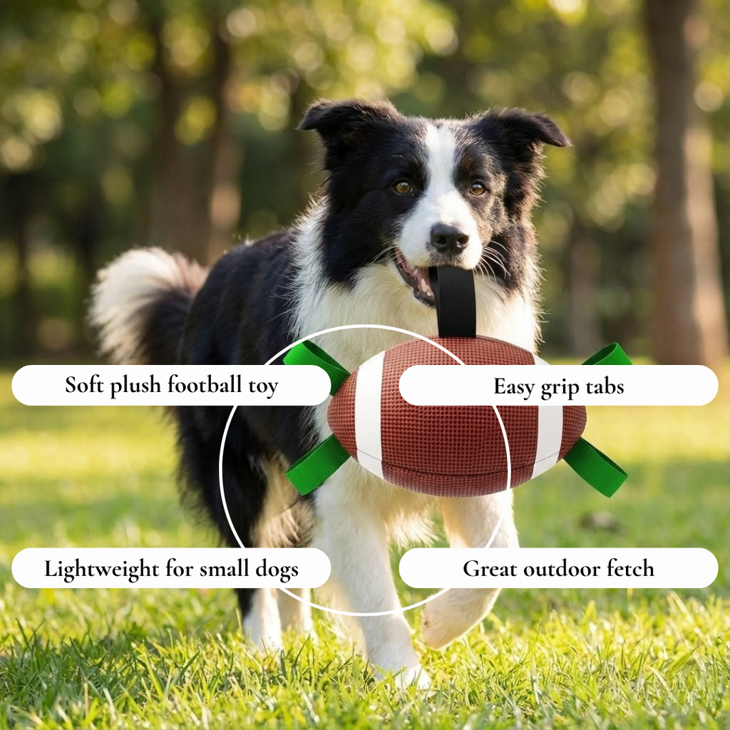 Interactive  Football Dog Toy