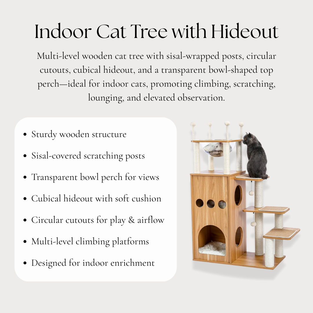 Indoor Cat Tree with Hideout