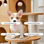 Indoor Cat Tree with Hideout