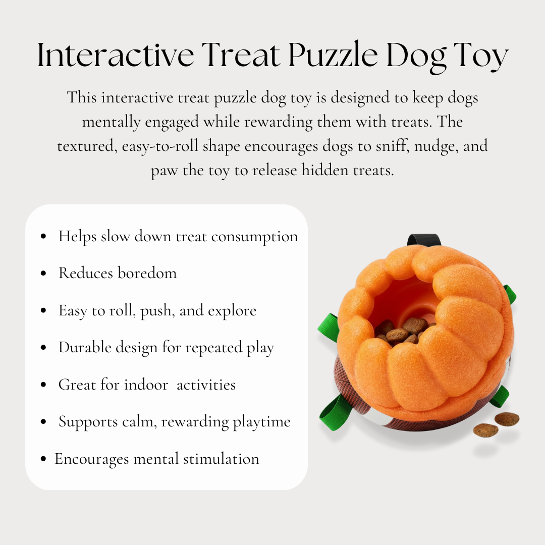 Interactive Treat Puzzle Dog Toy