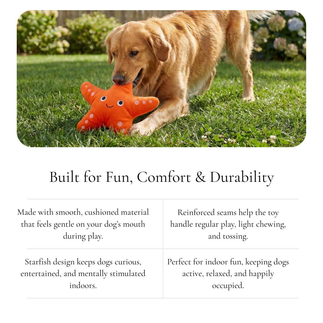 Starry the Plush Starfish Dog Toy