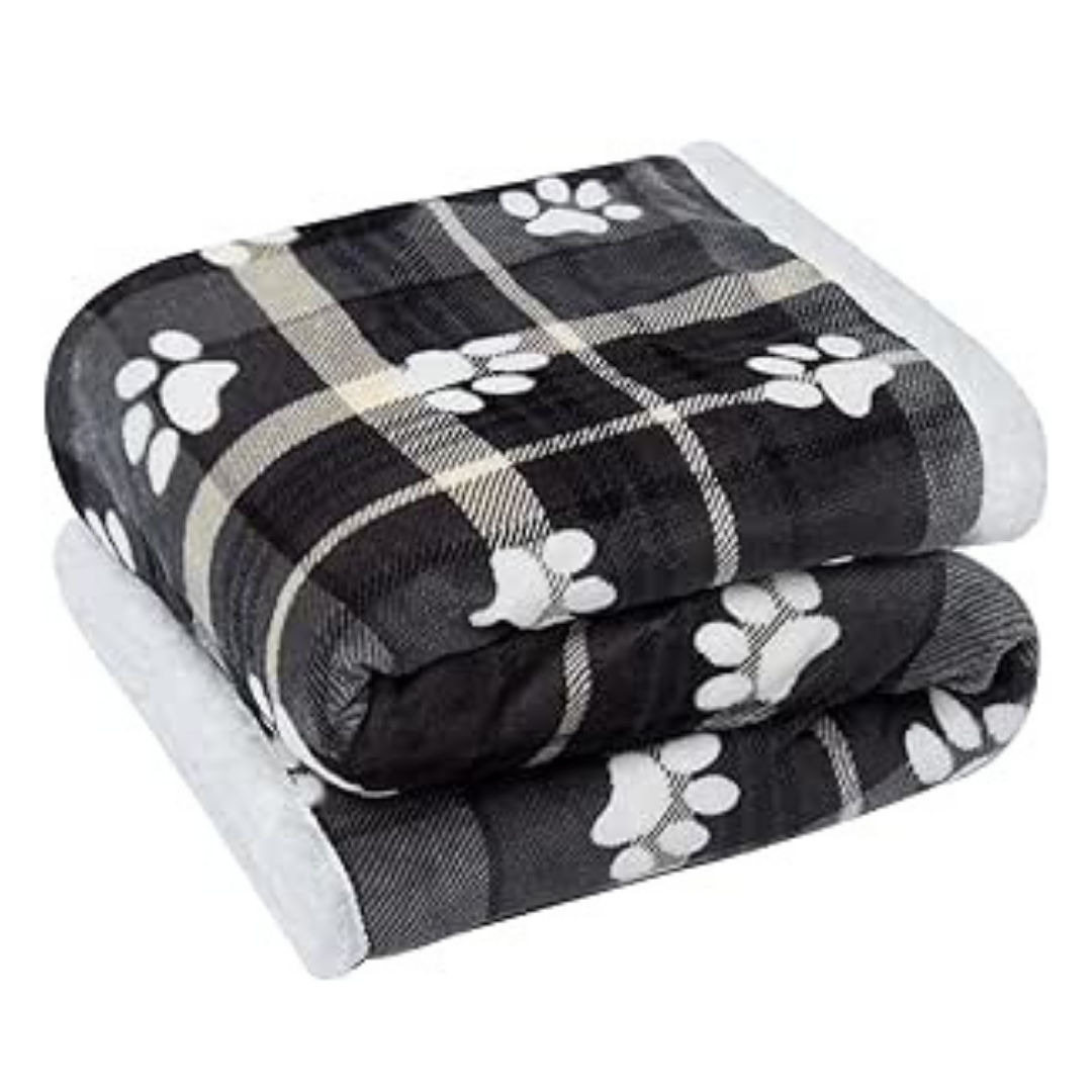 Plaid Paw Print Pet