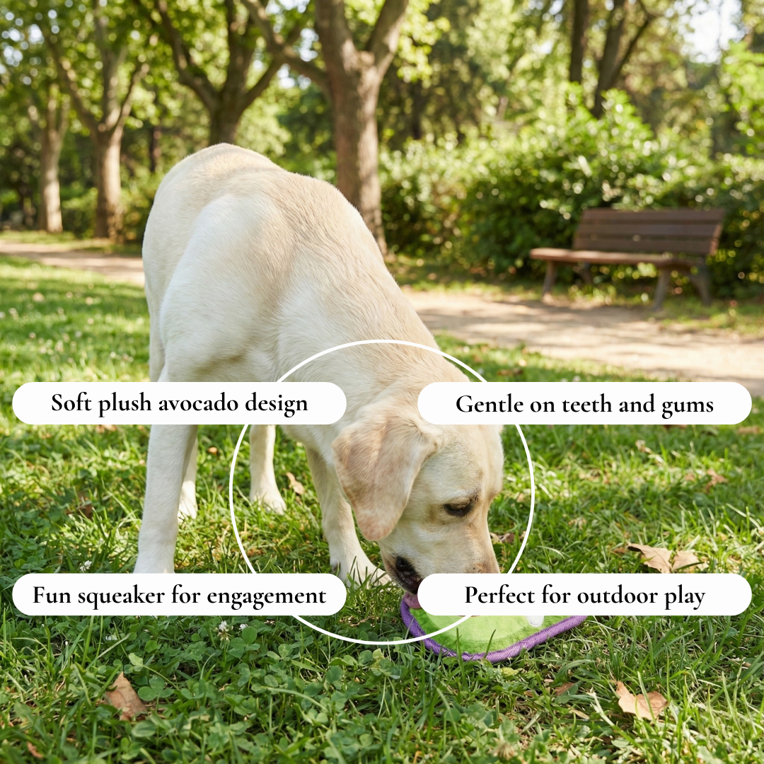 Avocado Plush Dog Toy