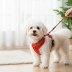 Red Reflective Padded Harness