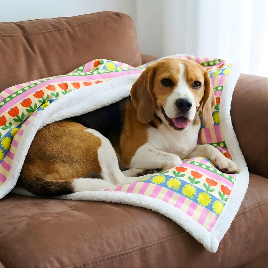 Floral Stripe Pet Towel