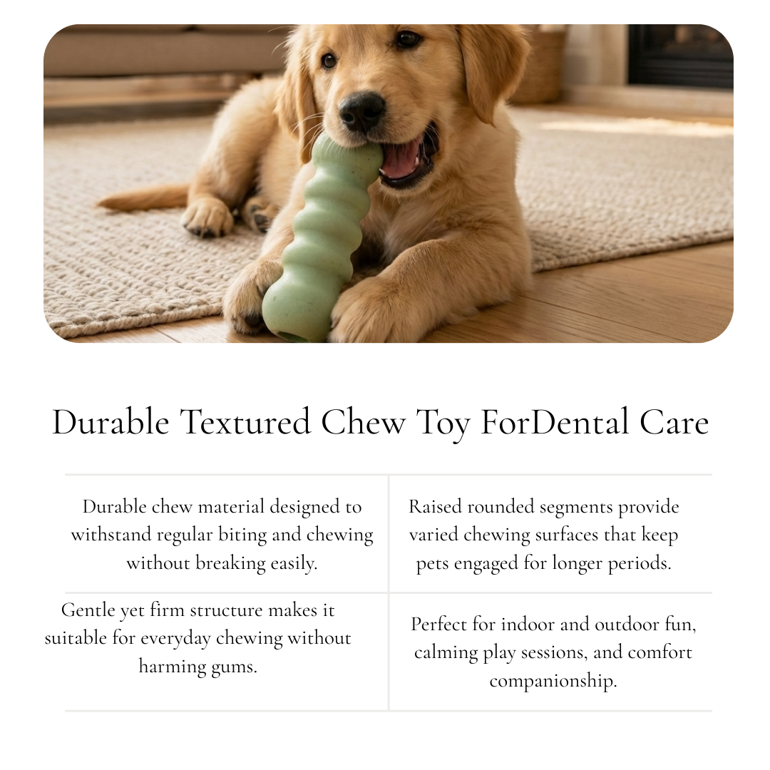 Textured Bone-Style Chew Dog Toy