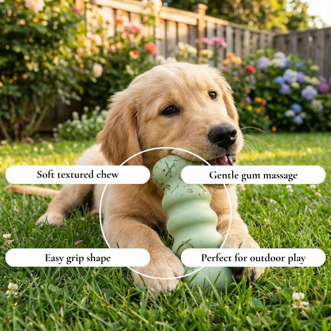 Textured Bone-Style Chew Dog Toy