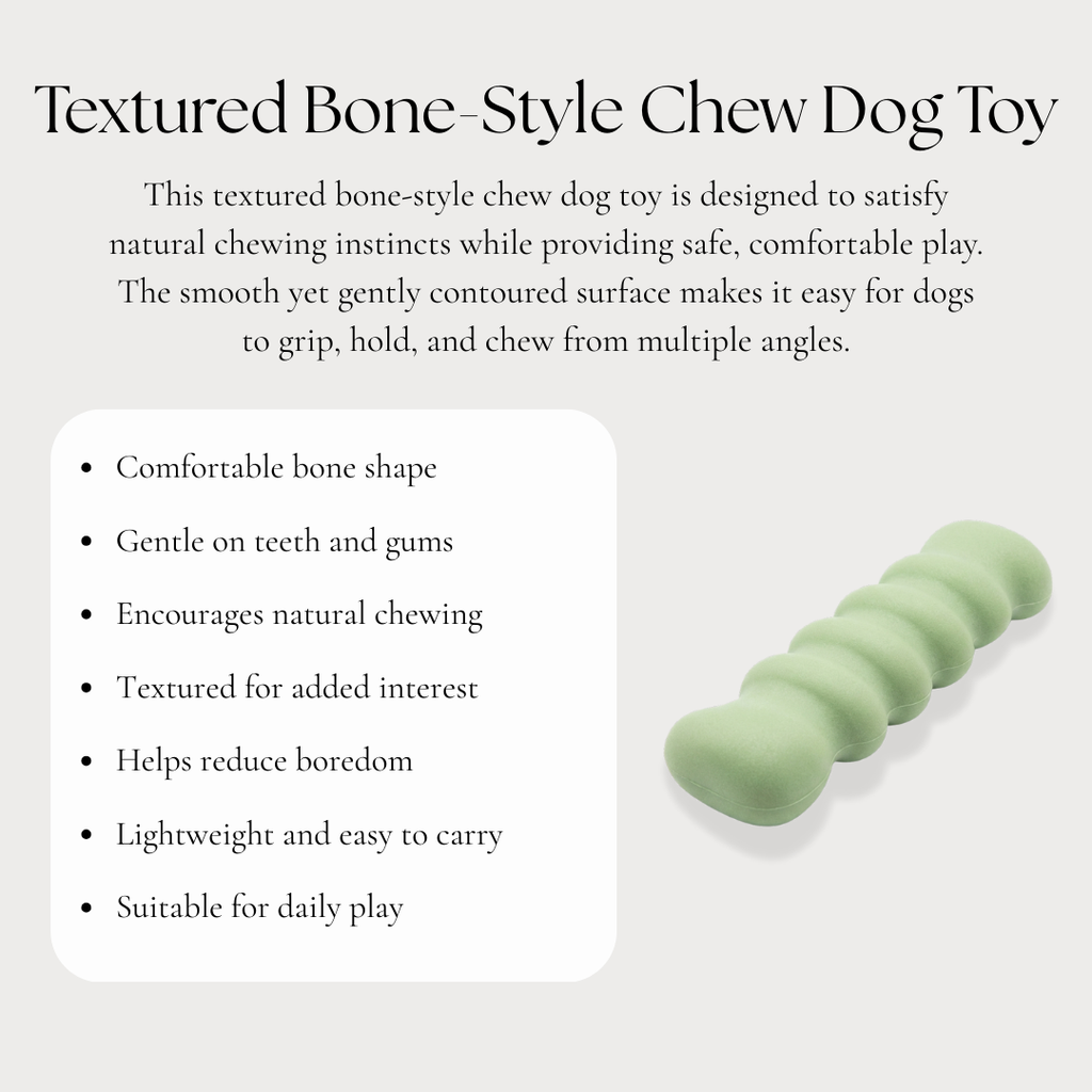 Textured Bone-Style Chew Dog Toy