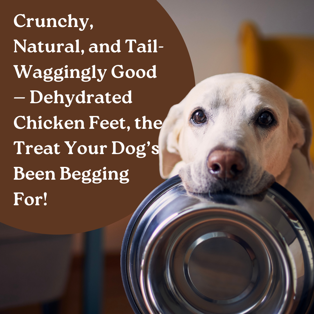 Dehydrated Chicken Feet  | 80g