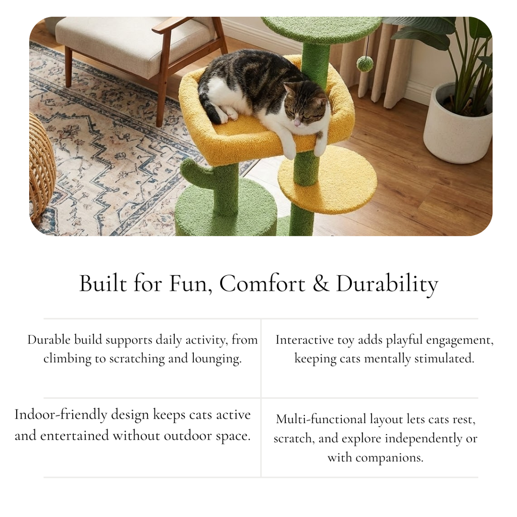 Multi-Level Cat Tree with Toy