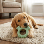 Soft Ring Chew Dog Toy