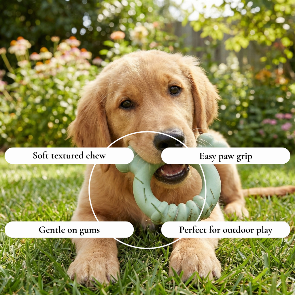 Soft Ring Chew Dog Toy