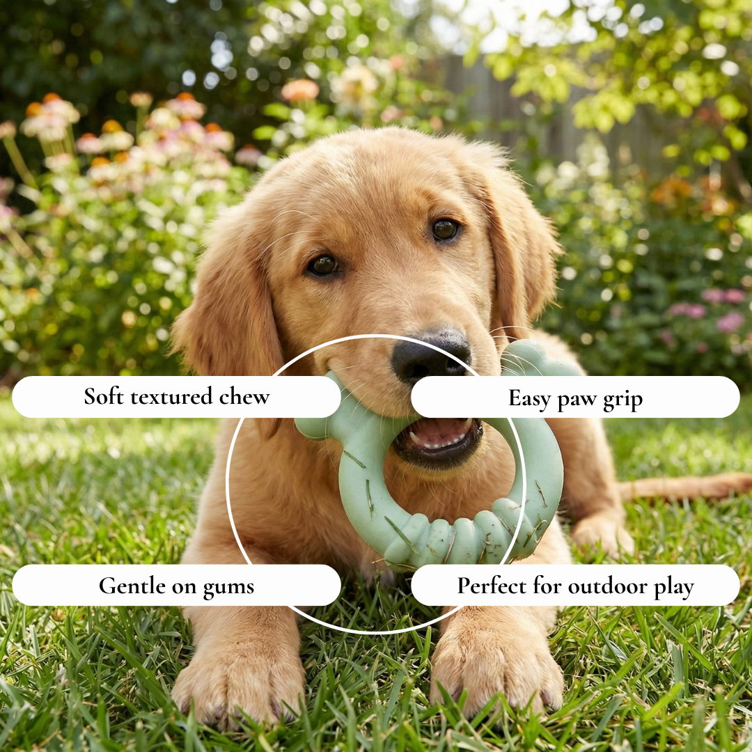Soft Ring Chew Dog Toy