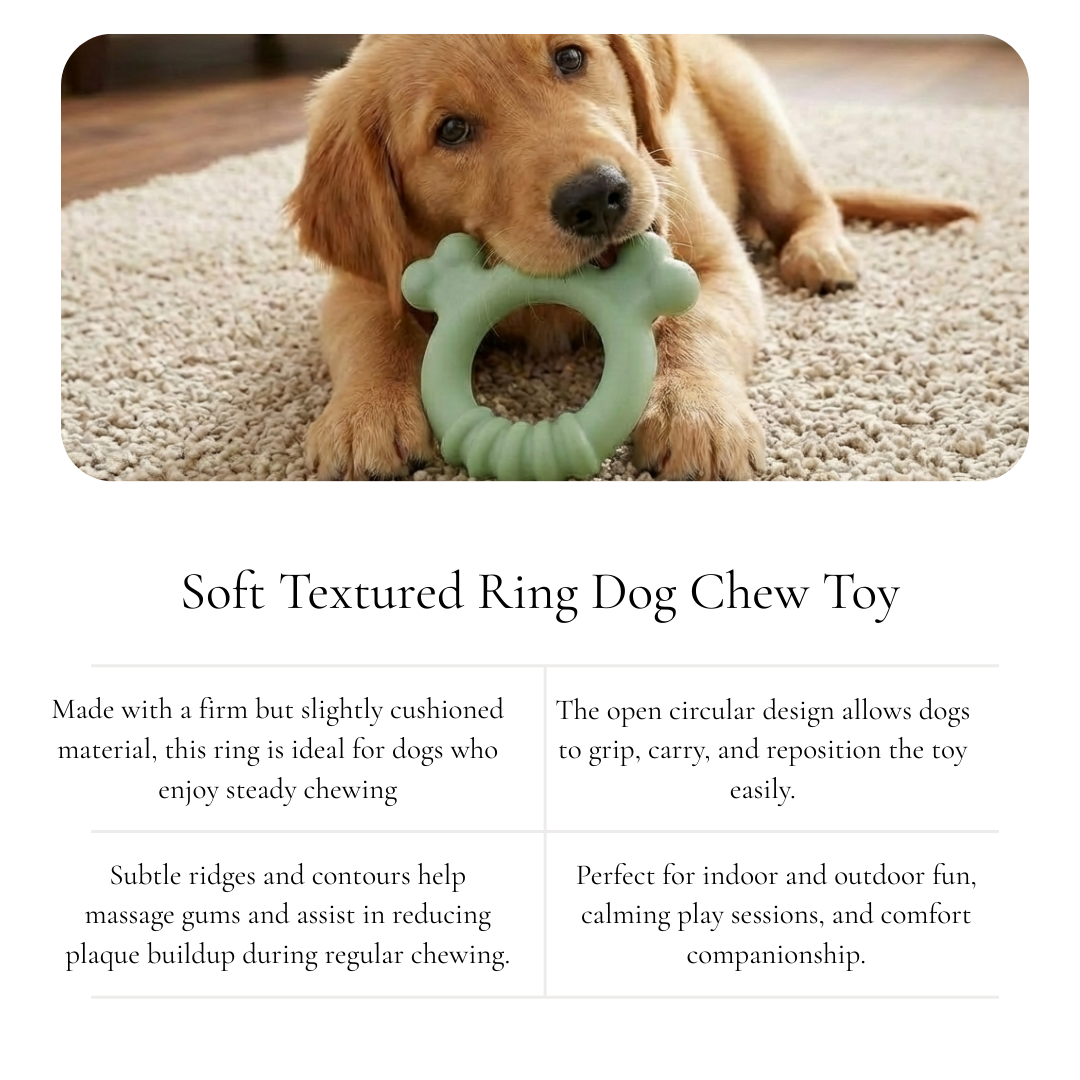 Soft Ring Chew Dog Toy