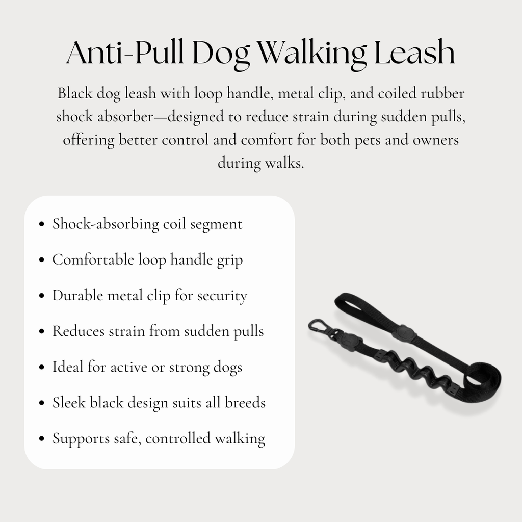 Anti-Pull Dog Walking Leash