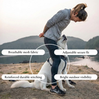 Secure Walking Harness for Pets