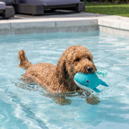 Plush Whale Rope Dog Toy