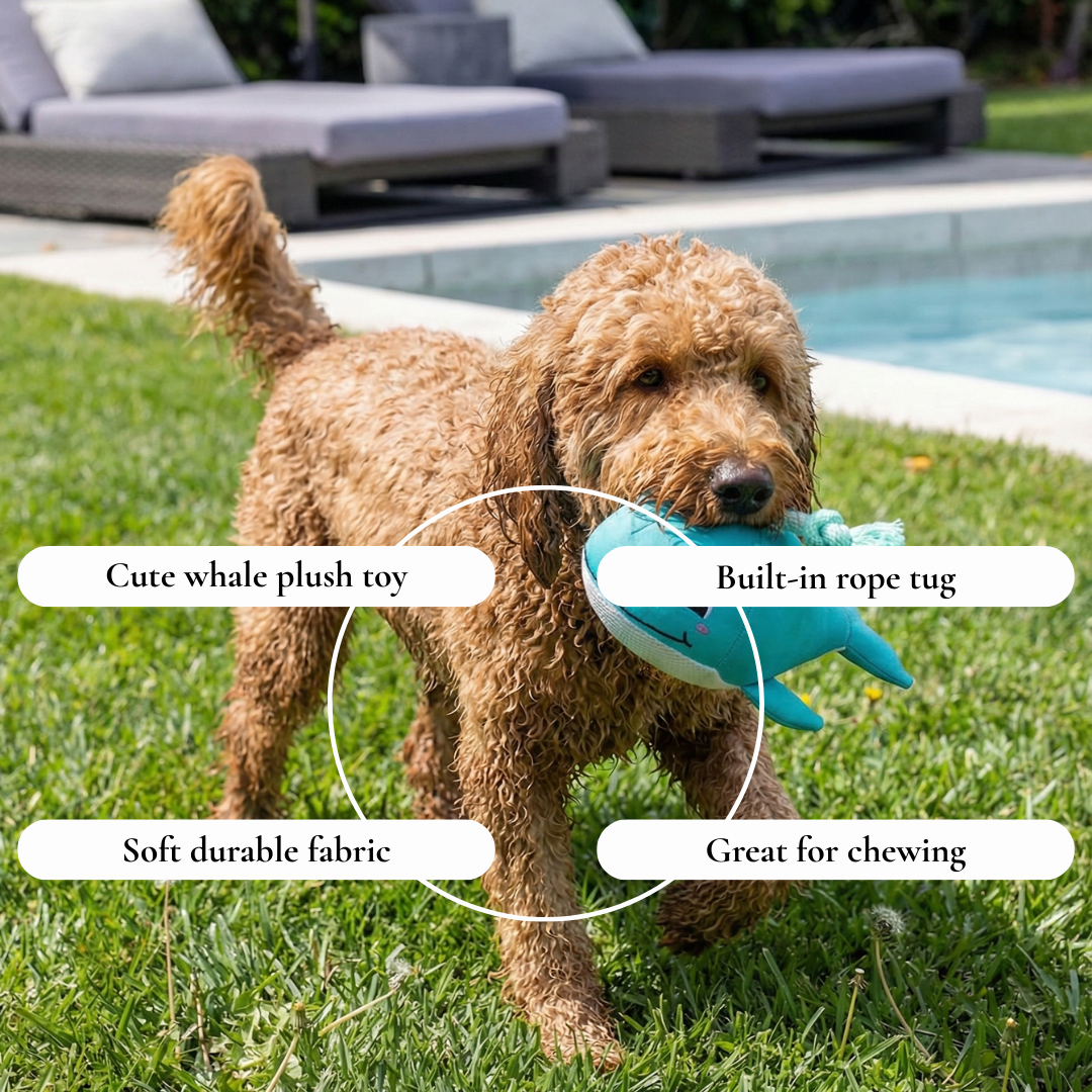 Plush Whale Rope Dog Toy