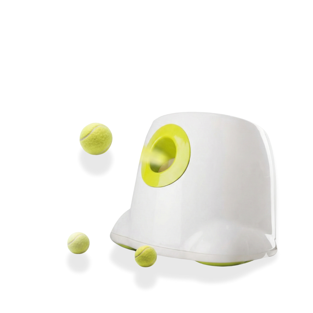 Automatic Ball Launcher Toy