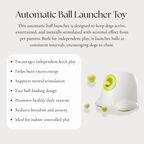 Automatic Ball Launcher Toy