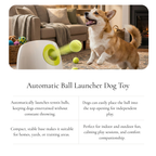 Automatic Ball Launcher Toy