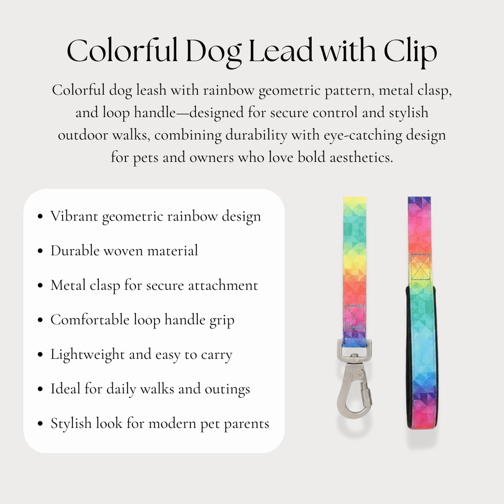 Colourful Dog Lead with Clip