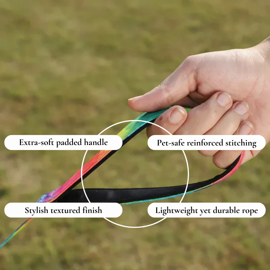 Colourful Dog Lead with Clip