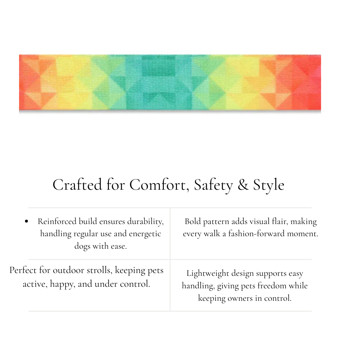 Colourful Dog Lead with Clip