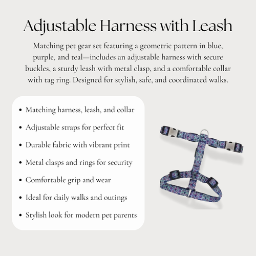 Adjustable Harness with Leash