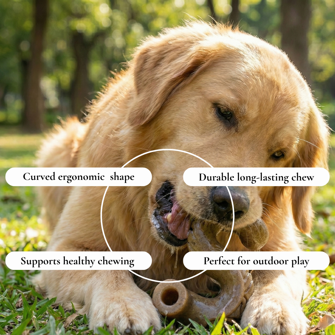 Curved Durable Chew Toy