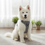 Gray Mesh Padded Harness