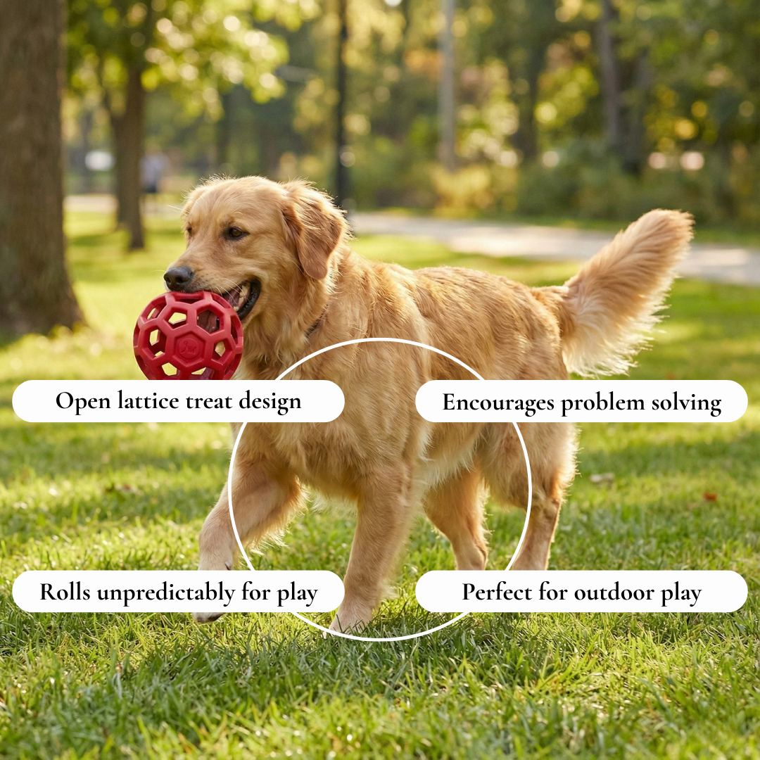 Rolls unpredictably for play