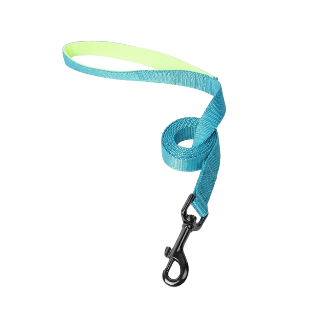 Neon-Lined Pet Walking Leash