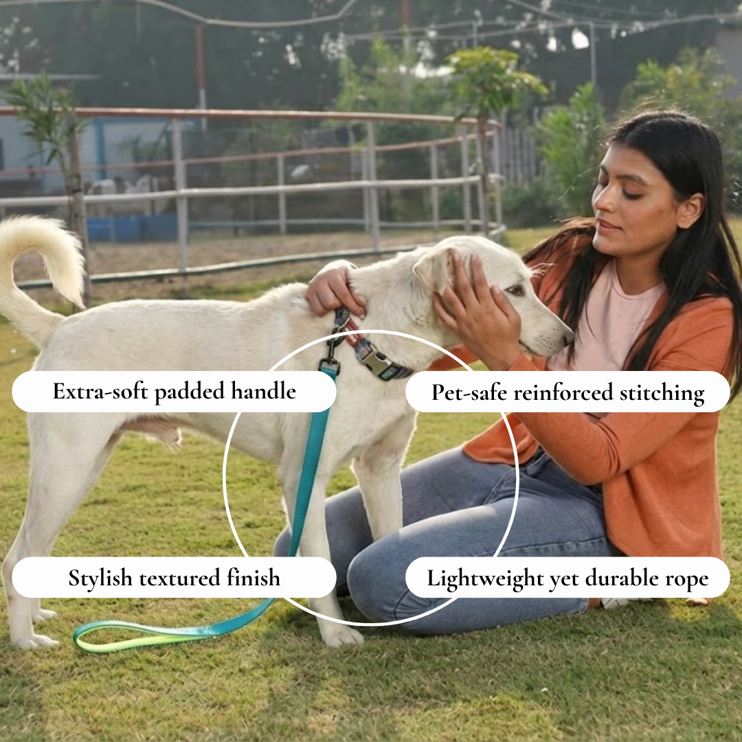 Neon-Lined Pet Walking Leash