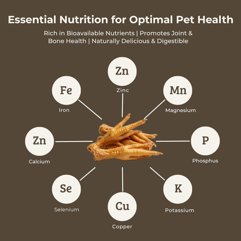 Dehydrated Chicken Feet  | 80g