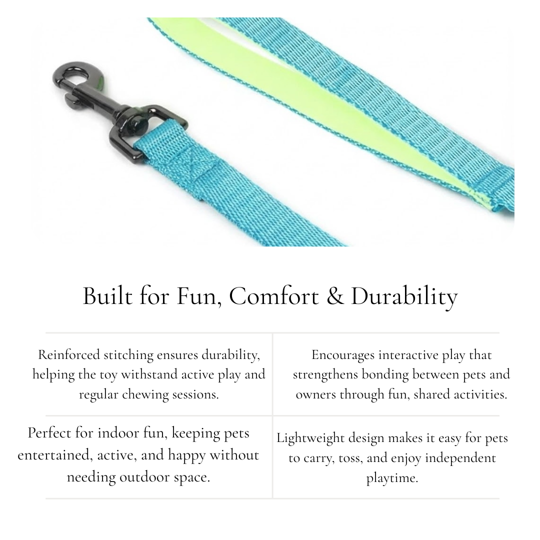 Neon-Lined Pet Walking Leash