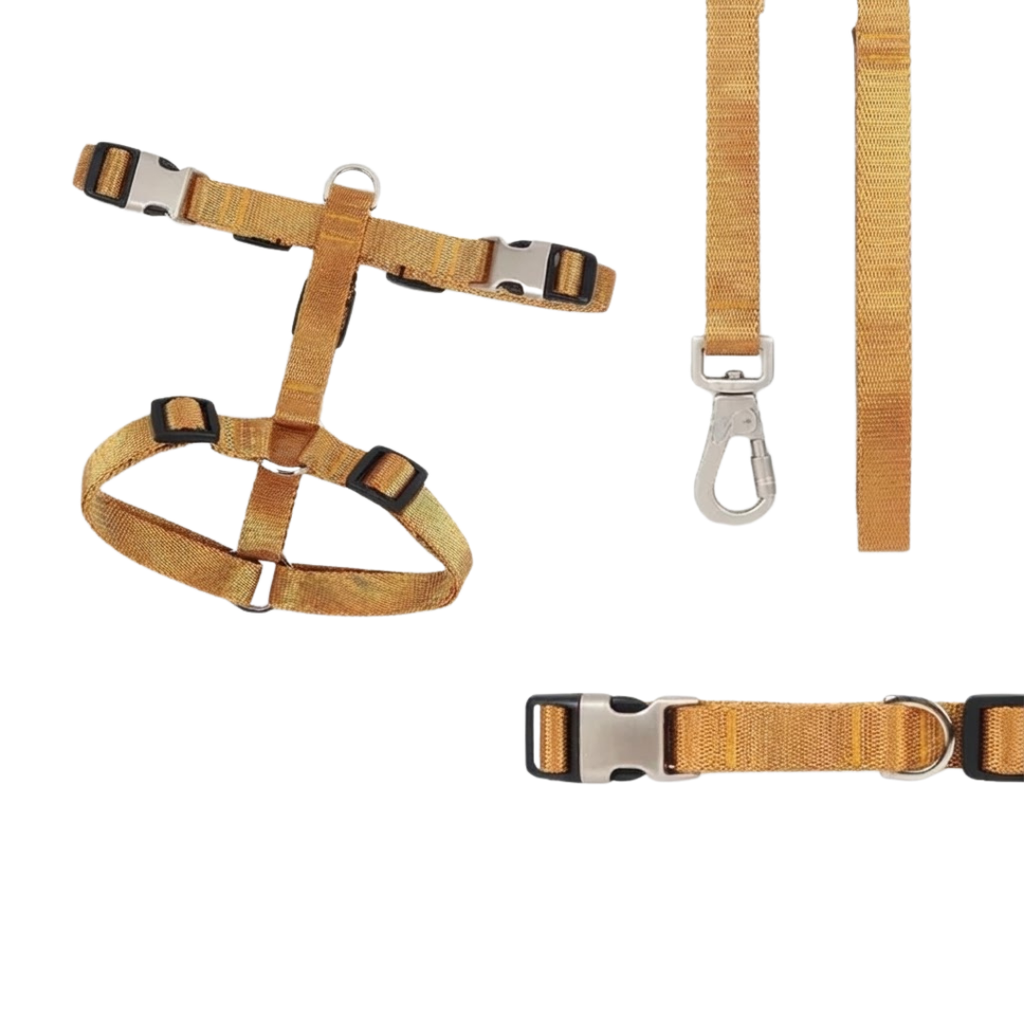 Adjustable Harness with Leash