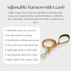Adjustable Harness with Leash