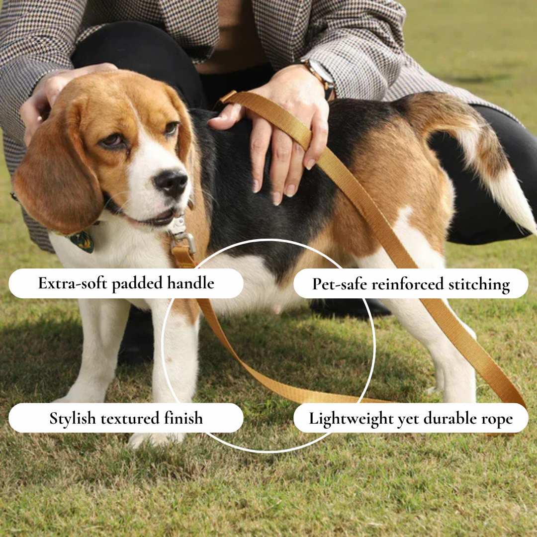 Adjustable Harness with Leash