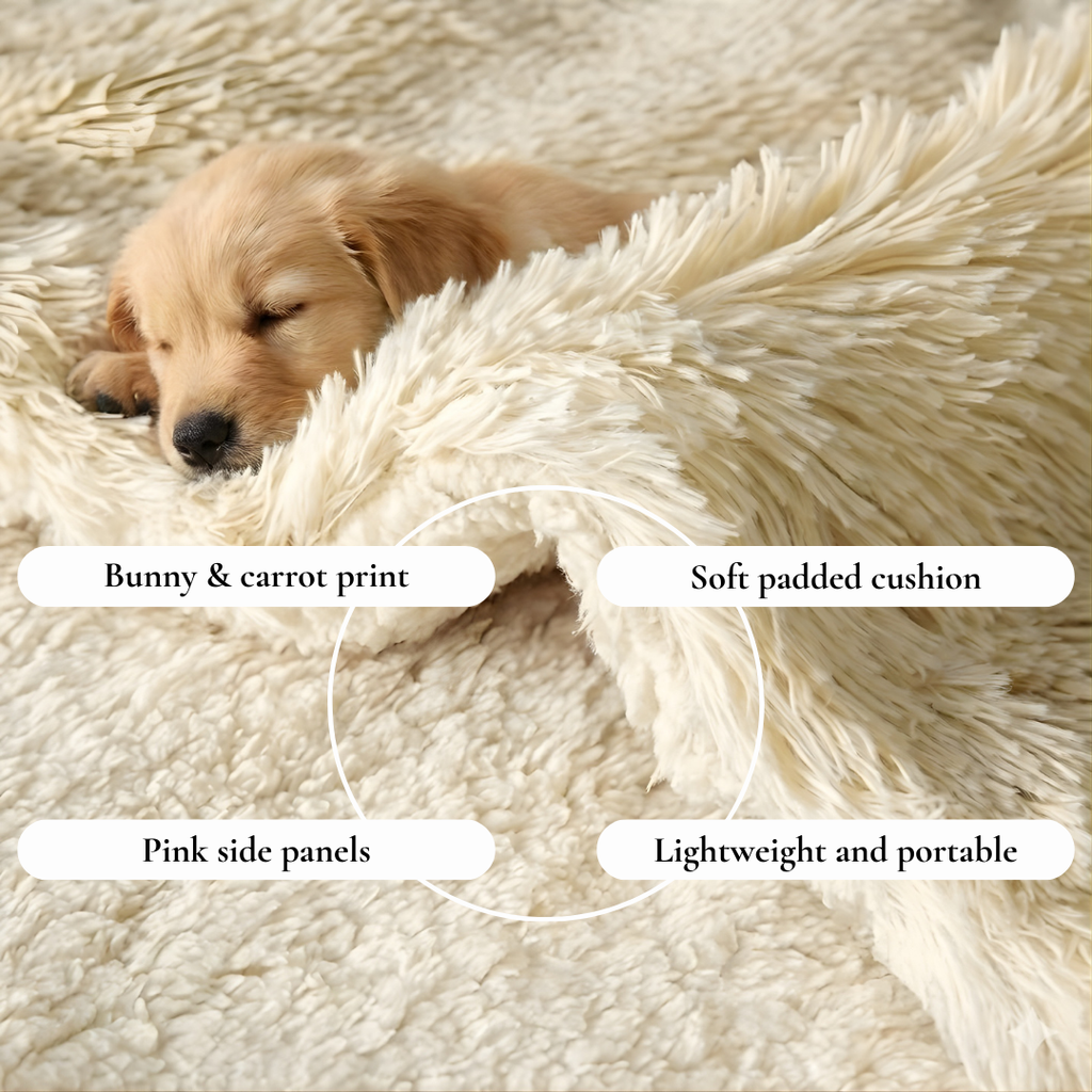 Cream Shaggy Pet Blanket