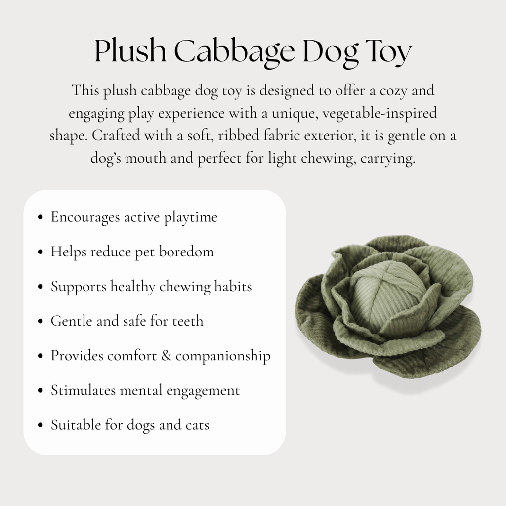 Plush Cabbage Dog Toy
