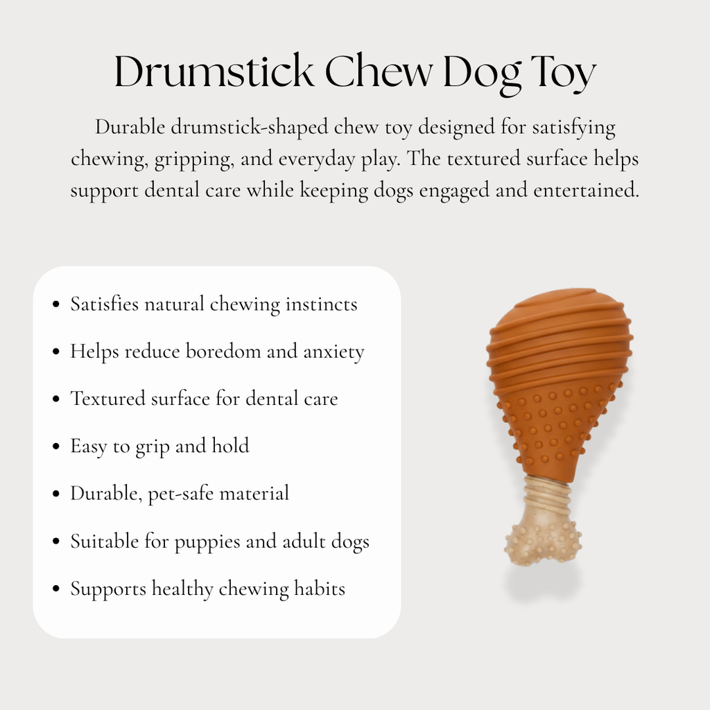 Drumstick Chew Dog Toy