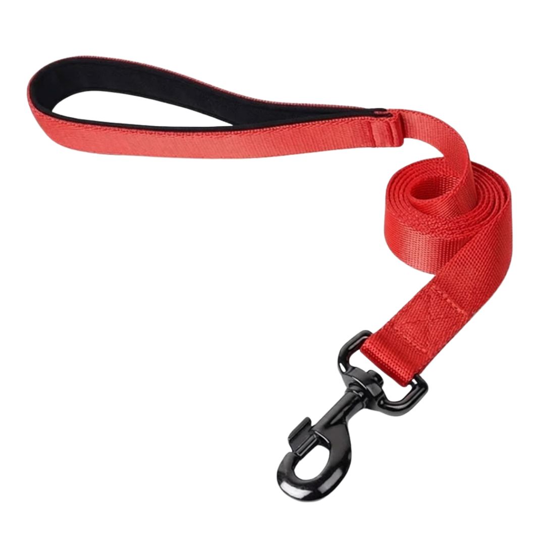 Durable Leash for Daily Walks