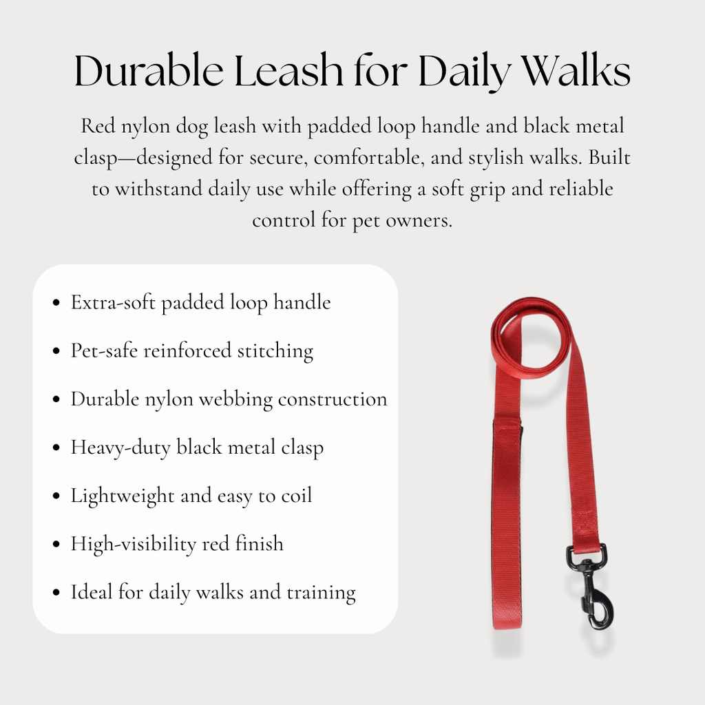 Durable Leash for Daily Walks