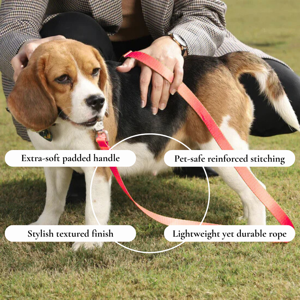 Durable Leash for Daily Walks