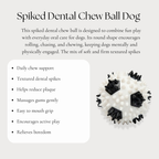 Spiked Dental Chew Ball Dog