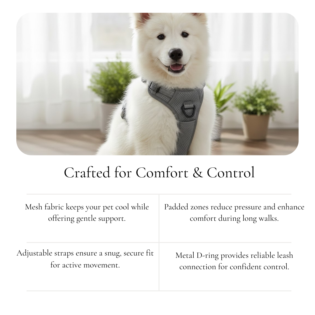 Gray Mesh Padded Harness