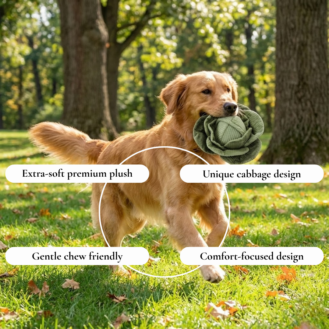 Plush Cabbage Dog Toy