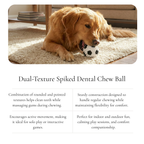Spiked Dental Chew Ball Dog